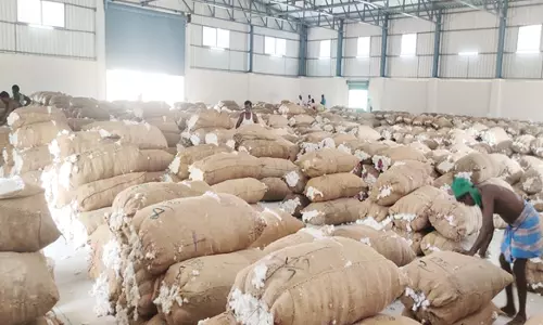 ராசிபுரத்தில் ரூ.45 லட்சத்திற்கு பருத்தி ஏலம்