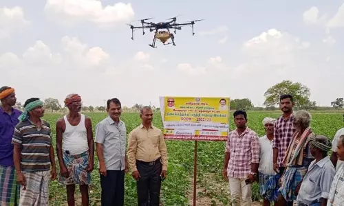 டிரோன் மூலம் பூச்சிக்கொல்லி தெளிப்பு