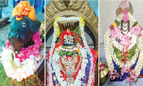 பரமத்தி வேலூர் பகுதி சிவன் கோவில்களில்பிரதோஷத்தை முன்னிட்டு சிறப்பு அபிஷேக ஆராதனை