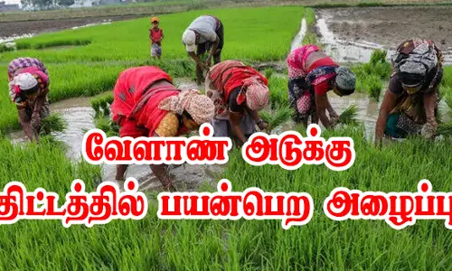 பரமத்தி வட்டார விவசாயிகள் வேளாண் அடுக்கு திட்டத்தில் பயன்பெற அழைப்பு