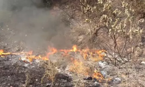 வனப்பகுதியில் குப்பை கழிவுகளை கொட்டுவதை தடுக்க வேண்டும்