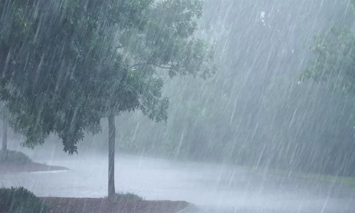 கேரளாவில் வருகிற 11-ந்தேதி வரை இடி, மின்னலுடன் பலத்த மழைக்கு வாய்ப்பு