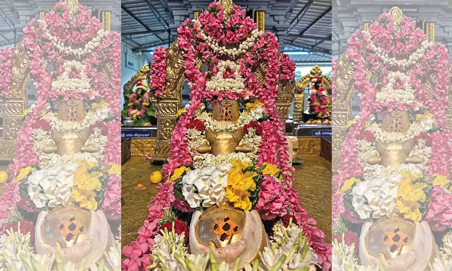 வெள்ளகோவில் சிவன் கோவில்களில் சிறப்பு வழிபாடு