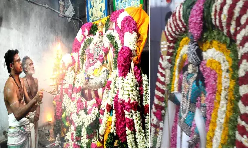 ஏகாம்பரேஸ்வரர், ஜலகண்டேஸ்வரர் கோவிலில் பங்குனி உத்திர திருக்கல்யாணம்