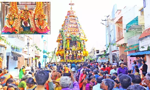 பாளை ராஜகோபாலசுவாமி கோவிலில் பங்குனி பிரமோற்சவ தேரோட்டம்