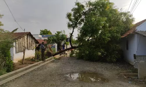 கோவையில் கொட்டி தீர்த்த ஆலங்கட்டி மழை