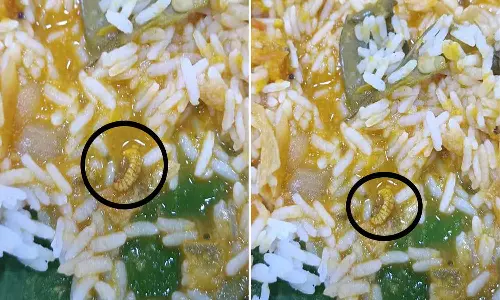 ஆரணி ஓட்டலில் சாப்பாட்டில் புழு