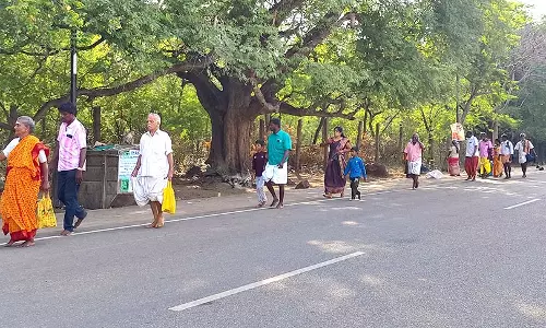 பங்குனி உத்திரத்தையொட்டி முருகன் கோவில்களில் குவிந்த பக்தர்கள்