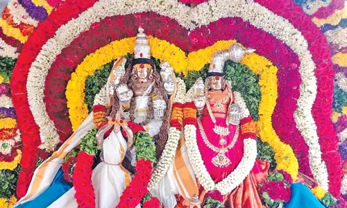 நங்கவள்ளி லட்சுமி நரசிம்மர் சுவாமி கோவில் தேர்த் திருவிழா