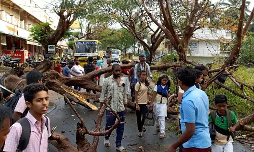 மரம் விழுந்து போக்குவரத்து பாதிப்பு