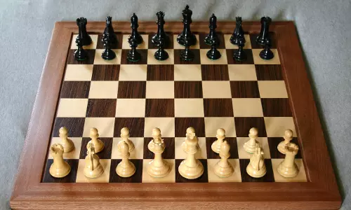 தென்காசியில் மாநில அளவிலான சதுரங்க போட்டிகளில் பங்கேற்பதற்கான தேர்வு