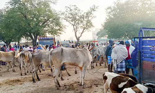 புளுதியூர் வாரச்சந்தையில் ரூ.39 லட்சத்திற்கு கால்நடைகள் விற்பனை