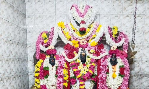 மாரண்டஅள்ளி ஸ்ரீ சுப்பிரமணியசாமி கோவிலில் பங்குனி உத்திர திருவிழா