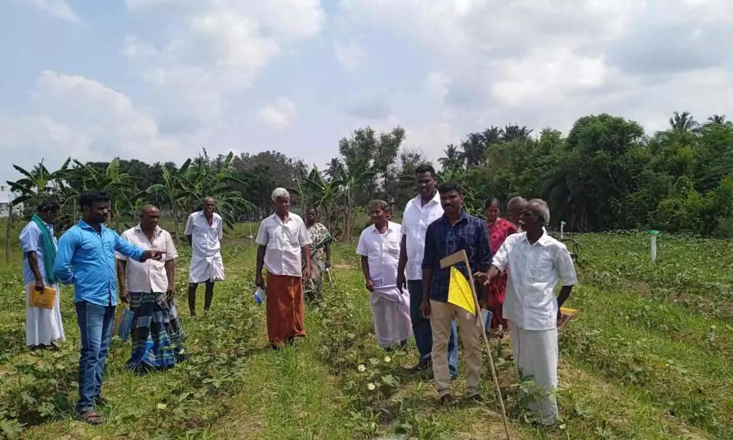 விவசாயிகளுக்கு பயிற்சி விவசாயிகளுக்கு பயிற்சி
