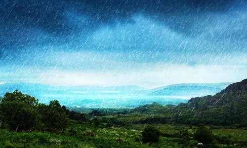 நெல்லை மாவட்டத்தில் பரவலாக மழை