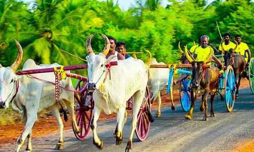 ஏரியூர் கிராமத்தில் மாட்டு வண்டி பந்தயம்