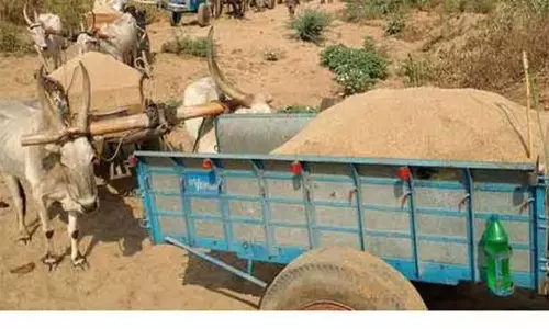 பாலாற்றில் மணல் கடத்திய 5 மாட்டு வண்டிகள் பறிமுதல்