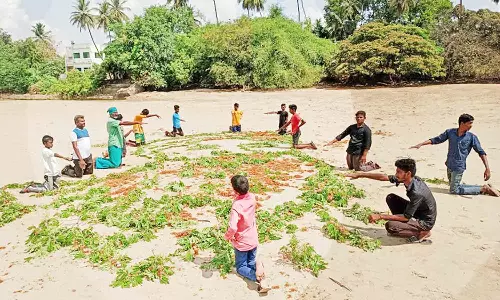 மணலில் பூக்களால் தத்ரூபமாக நம்மாழ்வார் உருவப்படத்தை வரைந்த மாணவர்கள்
