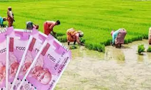 விவசாயிகள், பொதுமக்கள் கடனுதவிகள் பெற கூட்டுறவு சங்கங்களை அணுகலாம்