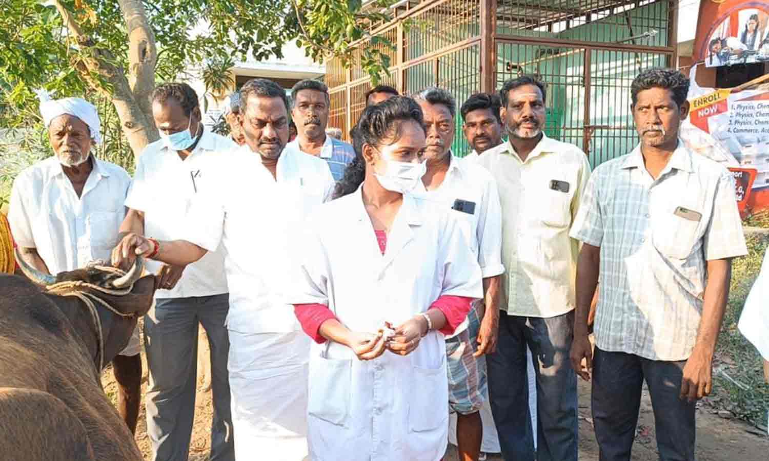 கோமாரி தடுப்பூசி முகாம்