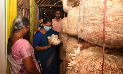 வளர்ச்சித்திட்ட பணிகளை கலெக்டர் ஆய்வு