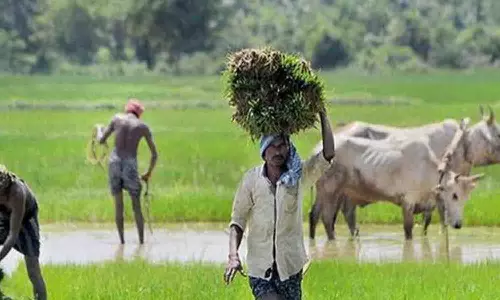 அரசு திட்ட பயன்களை பெற கிரென்ஸ் பதிவு - விவசாயிகளுக்கு அழைப்பு