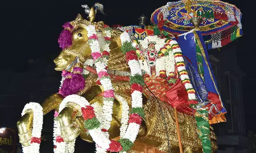 பங்குனி உத்திர திருவிழா நிறைவு: பழனியில் சாமி தரிசனத்திற்கு குவிந்த பக்தர்கள்