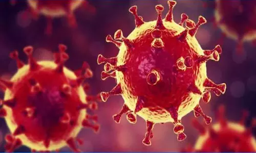 பெண் டாக்டருக்கு கொரோனா: மதுரையில் 16 பேருக்கு சிகிச்சை