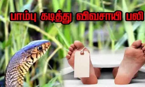 பாம்பு கடித்து விவசாயி சாவு