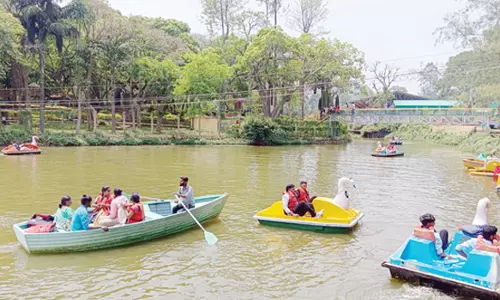 ஏற்காடு, ஆனைவாரி முட்டலில் குவிந்த சுற்றுலா பயணிகள்