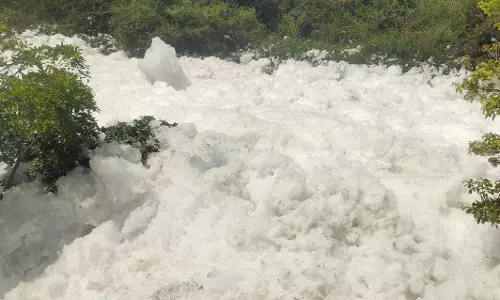 தென்பெண்ணை ஆற்று நீரில் குவியல், குவியலாக  ரசாயன நுரை