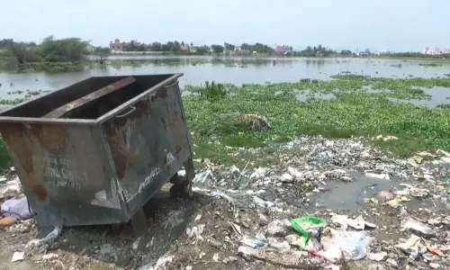 பிடமனேரி ஏரியில் சாக்கடை நீர் கலந்து துர்நாற்றம் வீசுவதால் நோய் தொற்று பரவும் அபாயம்