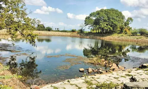 குளத்தின் படிகளை சீரமைக்க பொதுமக்கள் கோரிக்கை