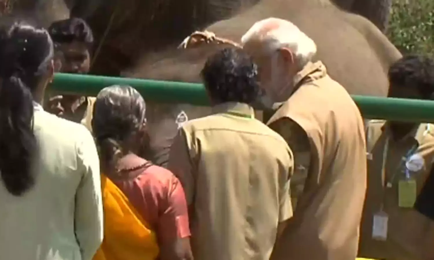 தெப்பக்காடு முகாமில் யானைகளை பார்வையிட்டார் பிரதமர் மோடி