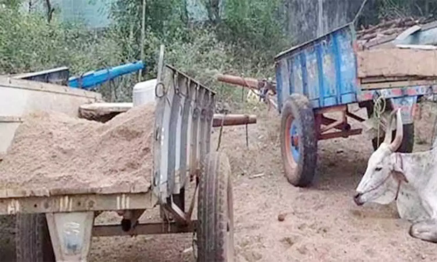 விக்கிரமங்கலம் அருகே மணல் கடத்திய மாட்டு வண்டி பறிமுதல் விக்கிரமங்கலம் அருகே மணல் கடத்திய மாட்டு வண்டி பறிமுதல்