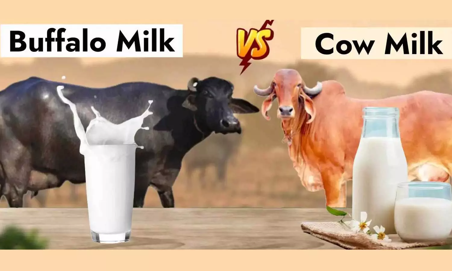 பசும்பால்-எருமைபால் வித்தியாசம் | Difference between cow milk and buffalo  milk