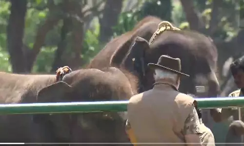 தெப்பக்காடு முகாமில் யானைகளை பார்வையிட்டார் பிரதமர் மோடி