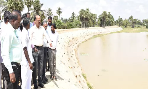 கடலூர் அருகே  சேடப்பள்ளம் ஏரி கரைகளை செப்பனிடும் பணி:கலெக்டர் பாலசுப்ரமணியம் ஆய்வு