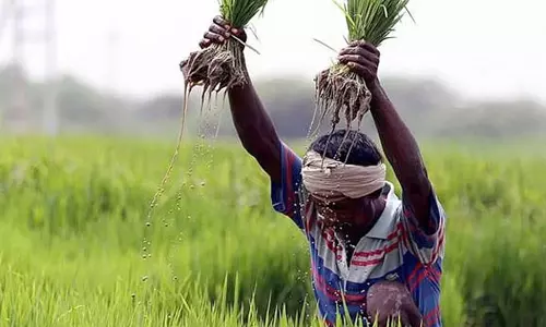 கிரெயின்ஸ் வலைத்தளத்தில் பதிவு செய்ய விவசாயிகளுக்கு அழைப்பு