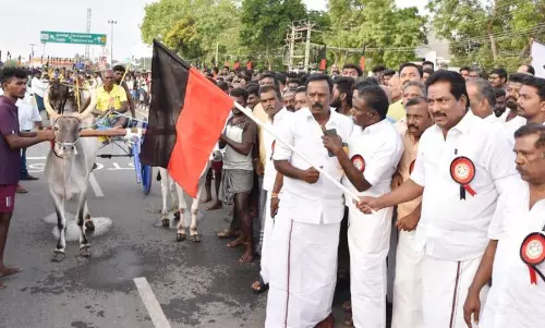 மாட்டுவண்டி பந்தயம்