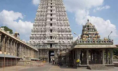 திருவண்ணாமலை அருணாசலேஸ்வரர் கோவிலில் பக்தர்கள் விரைவாக தரிசனம் செய்வது குறித்து அதிகாரி ஆய்வு