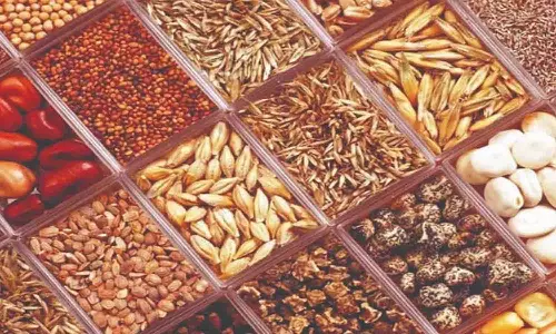 விவசாயிகள் - உற்பத்தியாளர்கள் விதையை உலர வைப்பதில் தனி அக்கறை செலுத்த வேண்டும் - அதிகாரி அறிவுறுத்தல்