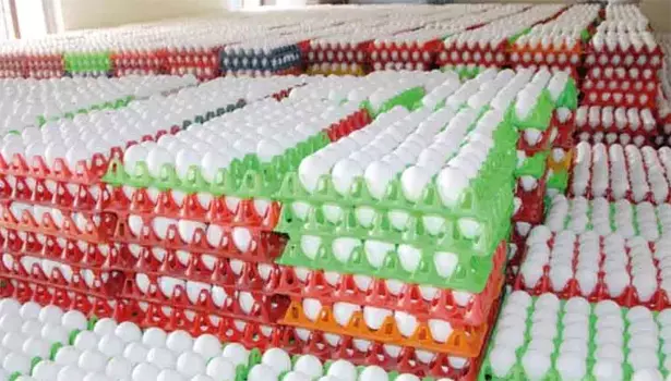 முட்டை கொள்முதல் விலையை 30 பைசாவுக்கு மேல் குறைக்க கூடாதுதேசிய ஒருங்கிணைப்பு குழு அறிவிப்பு முட்டை கொள்முதல் விலையை 30 பைசாவுக்கு மேல் குறைக்க கூடாதுதேசிய ஒருங்கிணைப்பு குழு அறிவிப்பு