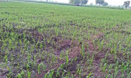 மத்திய அரசின் வேளாண் அடுக்கு திட்டத்தில் நில உடமை பயன்பாடு உறுதி செய்வதில் சிக்கல்