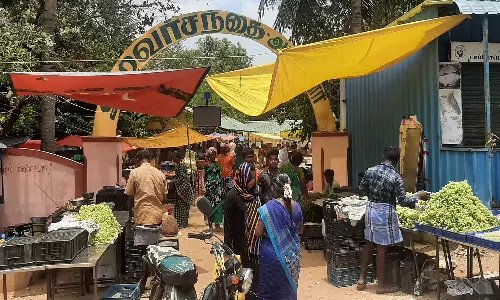 உழவர் சந்தை மீண்டும் திறப்பு