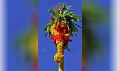 விராலிமலையில் ஜல்லிக்கட்டு போட்டிக்கான முகூர்த்தகால் நடும் விழா