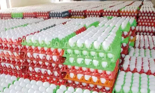 முட்டை கொள்முதல் விலையை 30 பைசாவுக்கு மேல் குறைக்க கூடாதுதேசிய ஒருங்கிணைப்பு குழு அறிவிப்பு