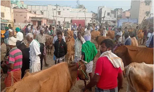 ரூ.1 கோடியே 40 லட்சத்துக்கு கால்நடைகள் விற்பனை