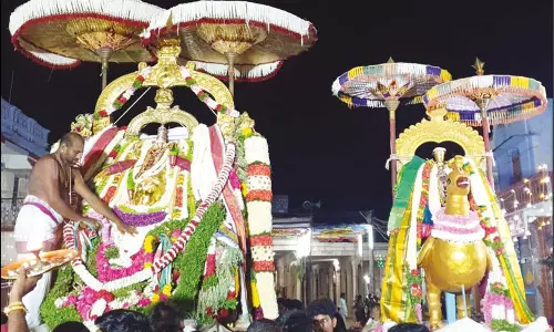 தென்திருப்பேரை மகரநெடுங்குழைக்காதர் கோவிலில் பங்குனி திருவிழா கருடசேவை: திரளான பக்தர்கள் சாமி தரிசனம்