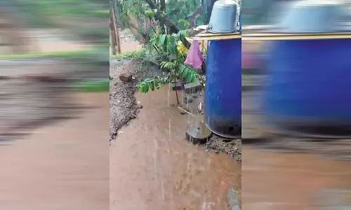 செங்கோட்டை சுற்றுவட்டாரத்தில் மழை நீடிப்பு